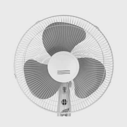 GIOVANNI FAN