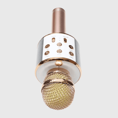 MICROFON BLUETOOTH KARAOKE