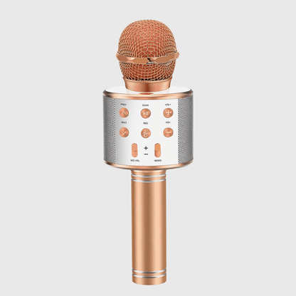 MICROFON BLUETOOTH KARAOKE