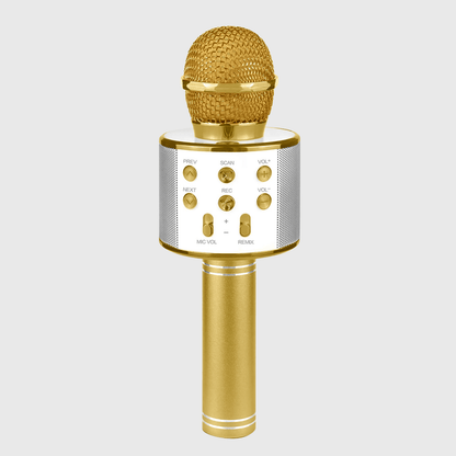 MICROFON BLUETOOTH KARAOKE