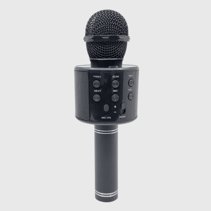 MICROFON BLUETOOTH KARAOKE