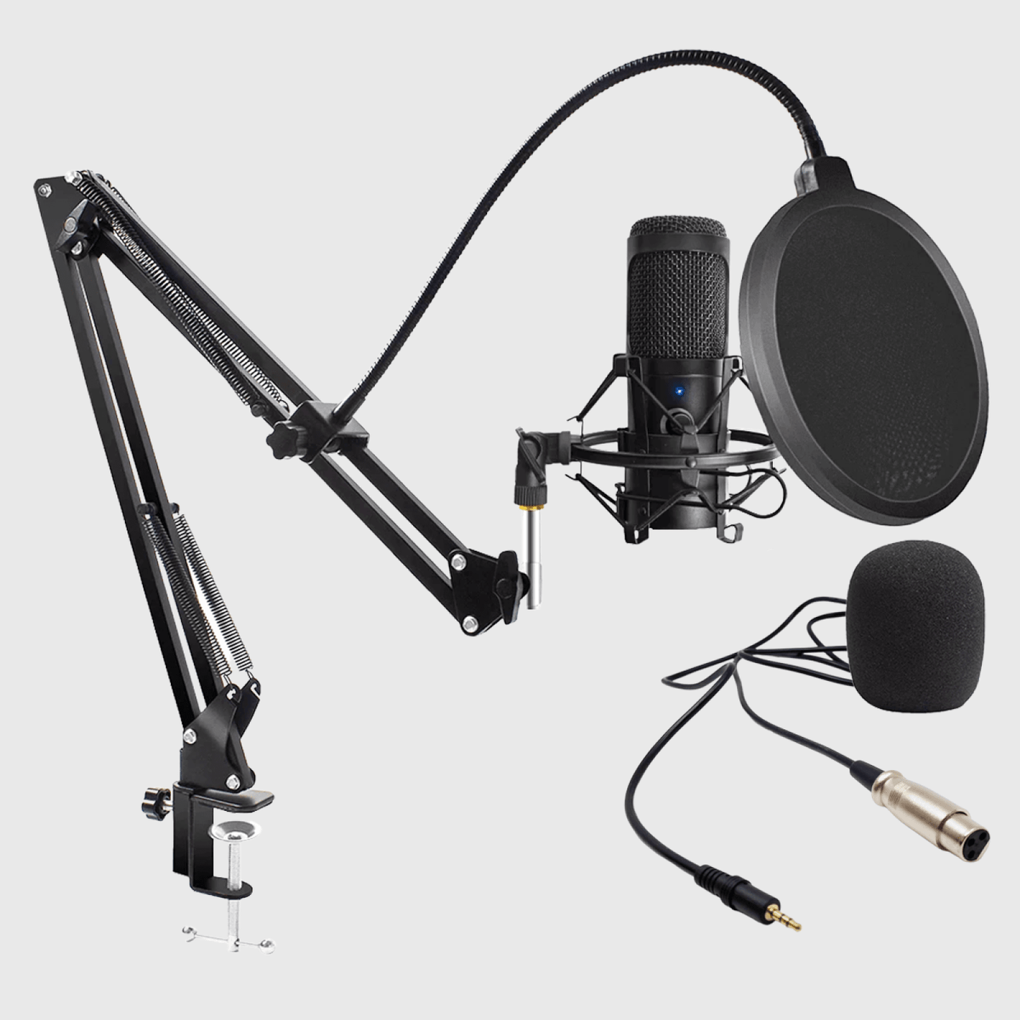MICROFON PROFESIONAL + SUPPORT SI ACCESORII