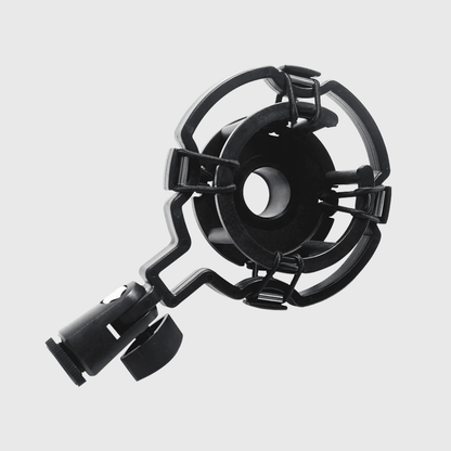 MICROFON PROFESIONAL + SUPPORT SI ACCESORII