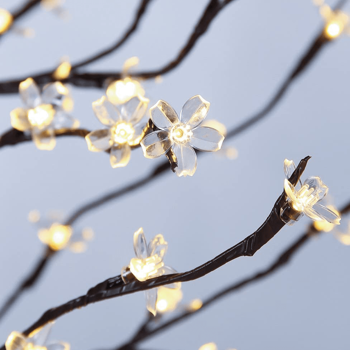COPACI LED DECORATIVI