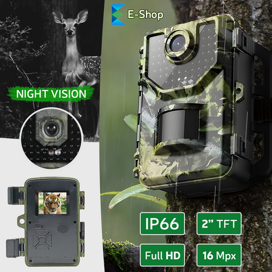 CAMERA DE VÂNATOARE