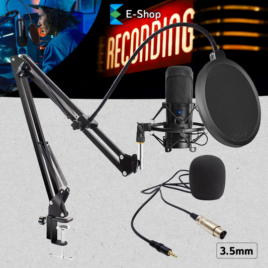 MICROFON PROFESIONAL + SUPPORT SI ACCESORII